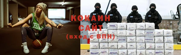 шишки Арсеньев