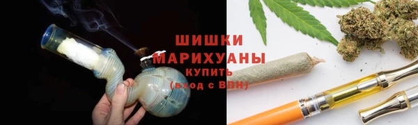 шишки Арсеньев