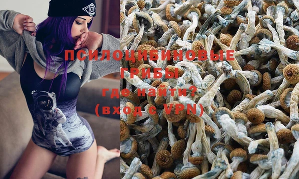 шишки Арсеньев