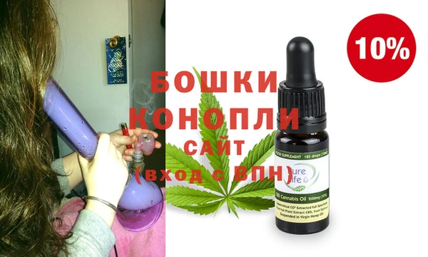 шишки Арсеньев