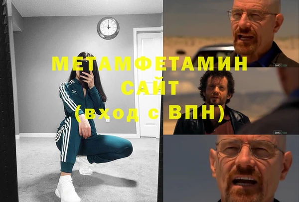 шишки Арсеньев