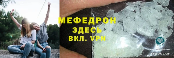 шишки Арсеньев