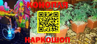 эйфоретик Берёзовский