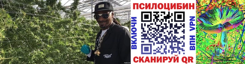 Галлюциногенные грибы прущие грибы  Всеволожск 