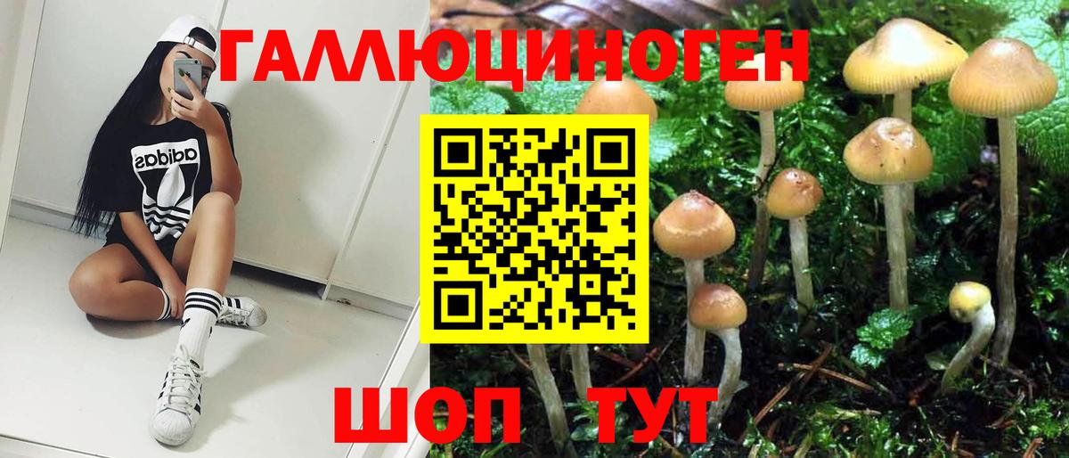 Псилоцибиновые грибы MAGIC MUSHROOMS Всеволожск
