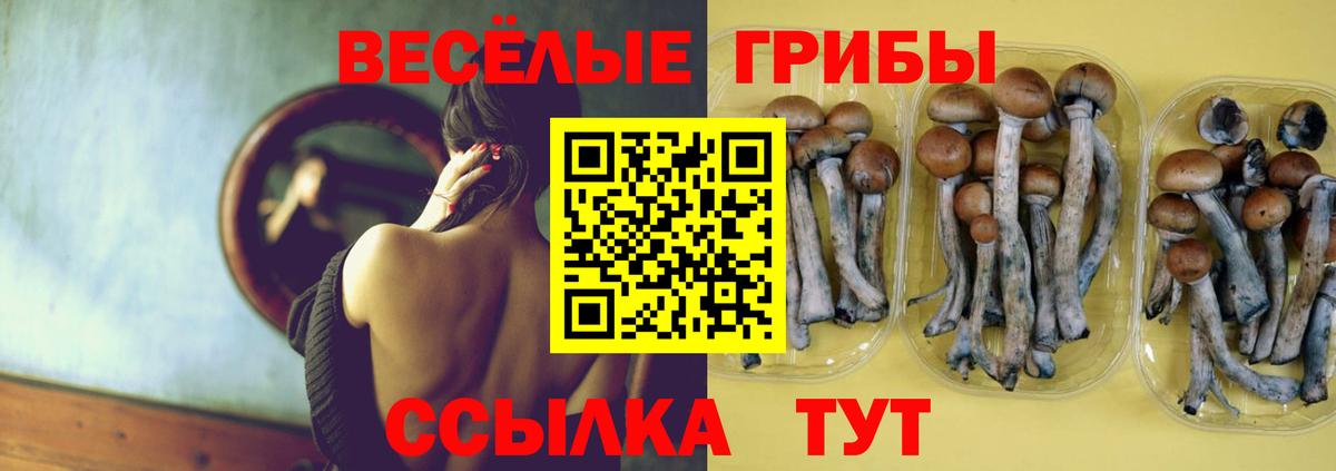 Псилоцибиновые грибы ЛСД  Вход с VPN  Галлюциногенные грибы GOLDEN TEACHER  Всеволожск 