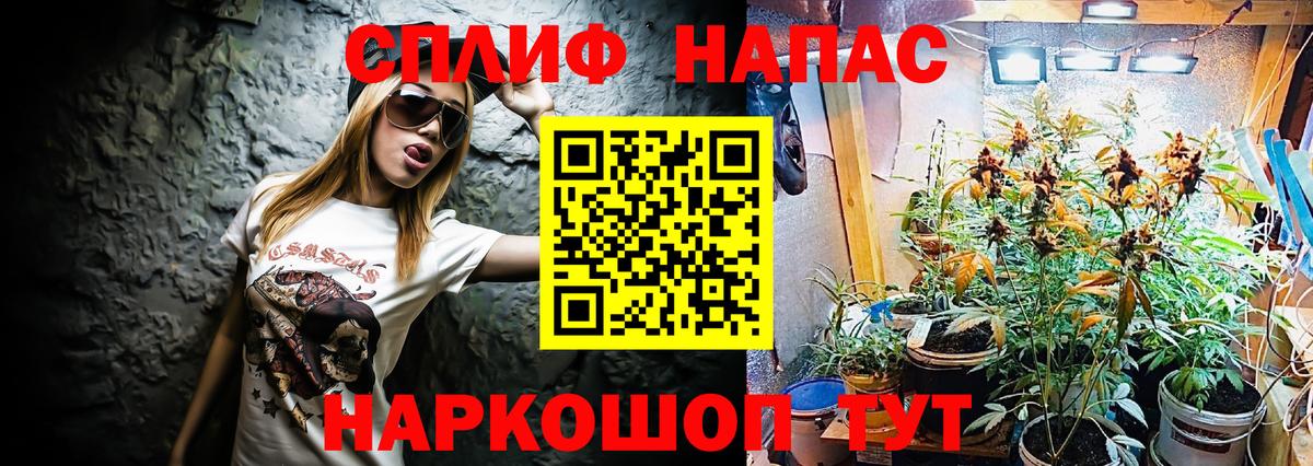 МАРИХУАНА конопля Всеволожск